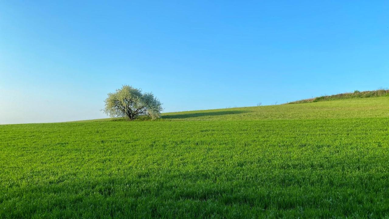 Agriturismo Albana Castiglione Delle Stiviere Dış mekan fotoğraf