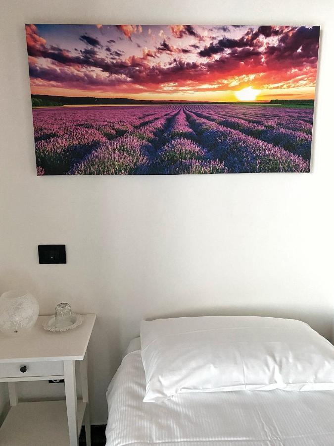 Agriturismo Albana Castiglione Delle Stiviere Dış mekan fotoğraf